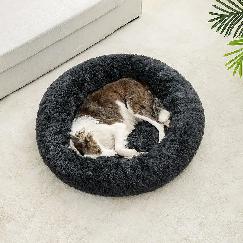 flinzy - Kuschelbett