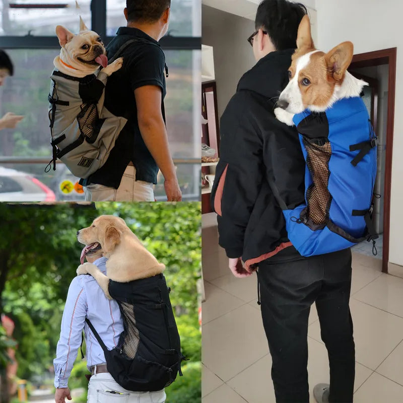 flinzy - Hunde-Rucksack