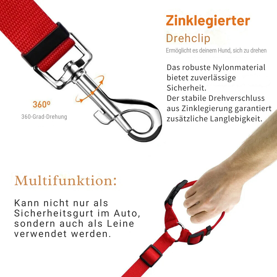 flinzy - Auto-Sicherheitsleine