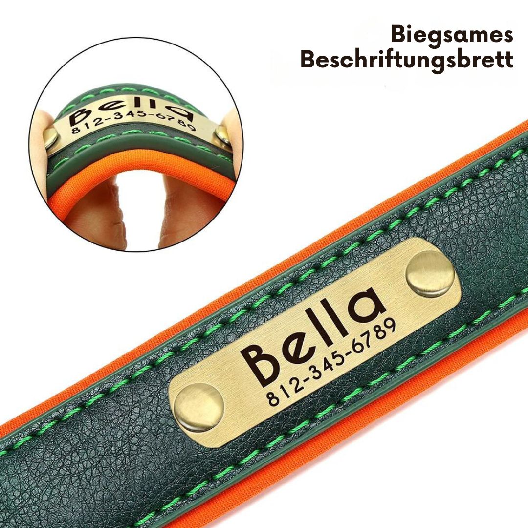 flinzy - Personalisiertes Hundehalsband mit Leine
