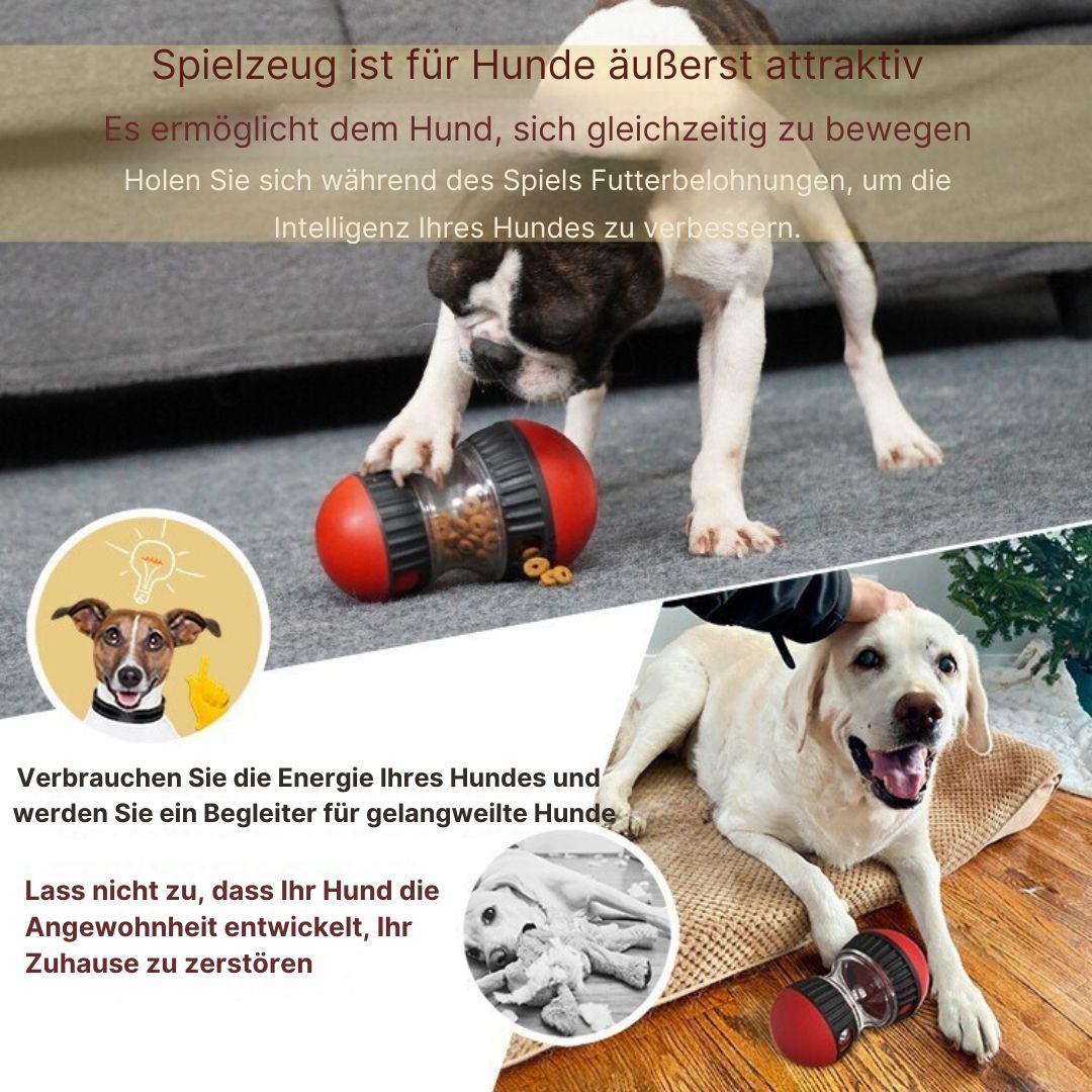 flinzy - Pädagogisches Hundespielzeug