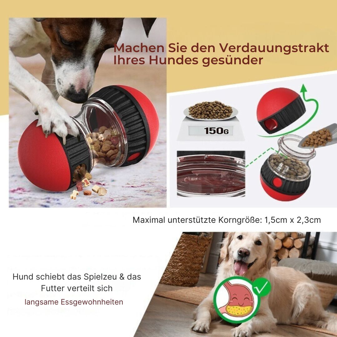 flinzy - Pädagogisches Hundespielzeug