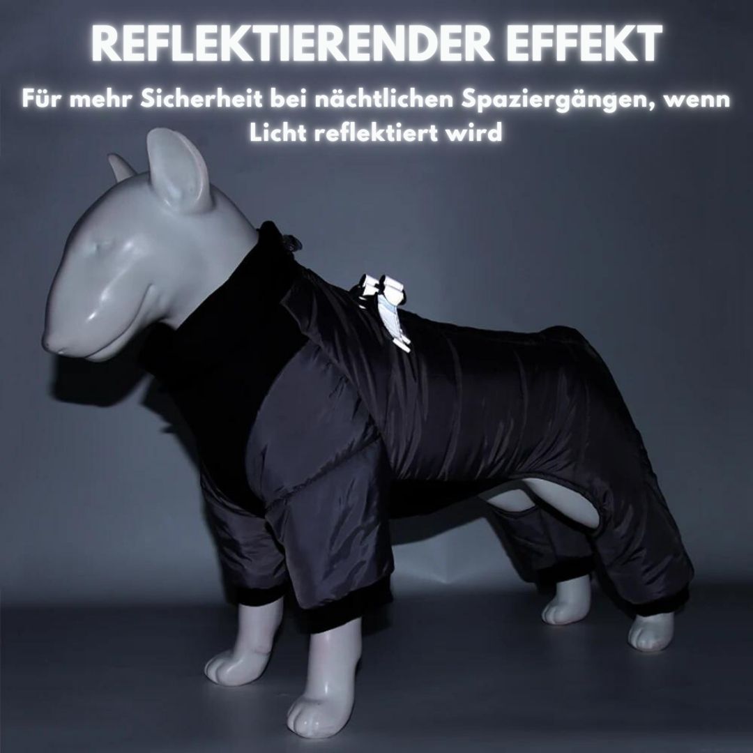 flinzy - Winter-Hundejacke