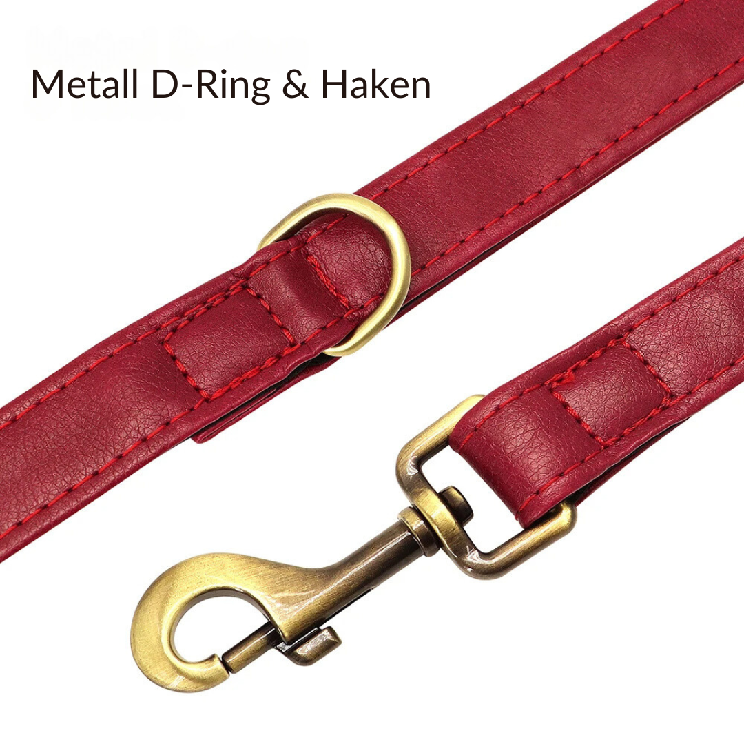 flinzy - Personalisiertes Hundehalsband mit Leine