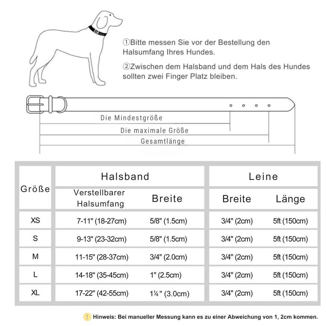 flinzy - Personalisiertes Hundehalsband mit Leine