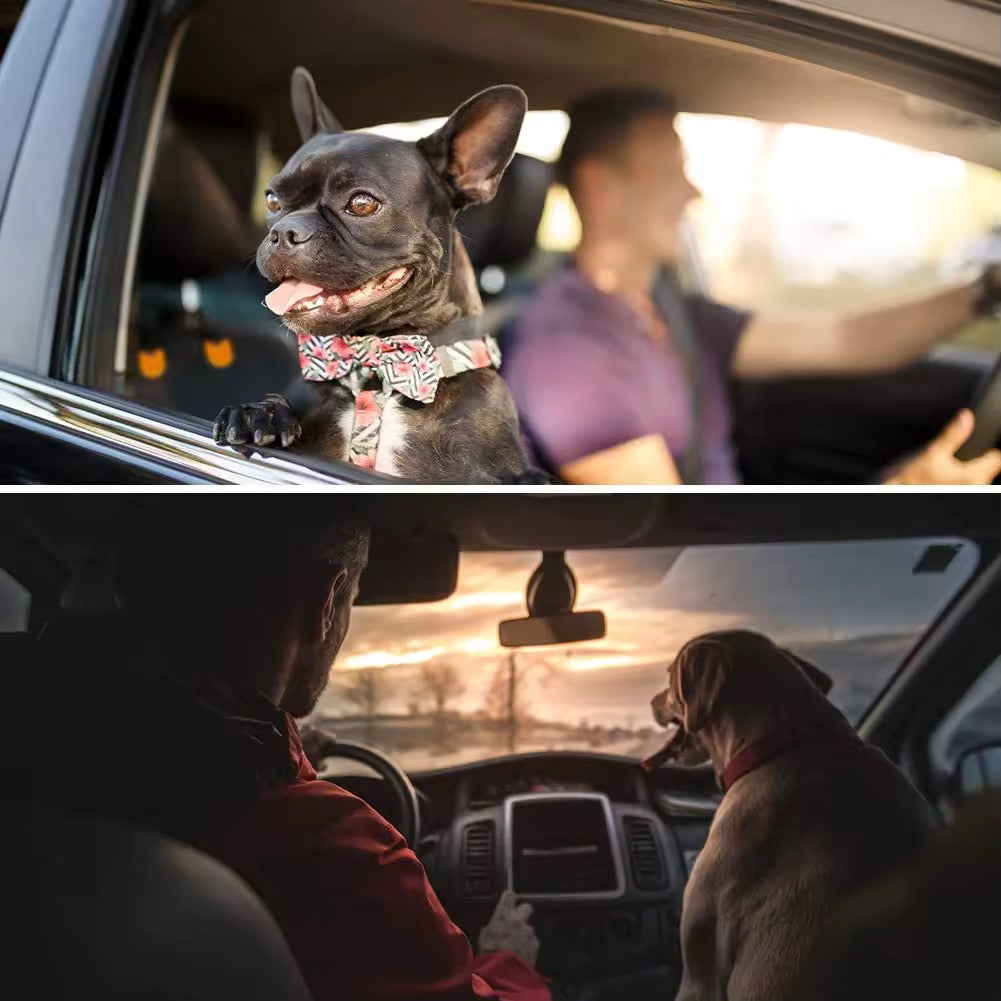 flinzy - Waterproof rear seat protection mat