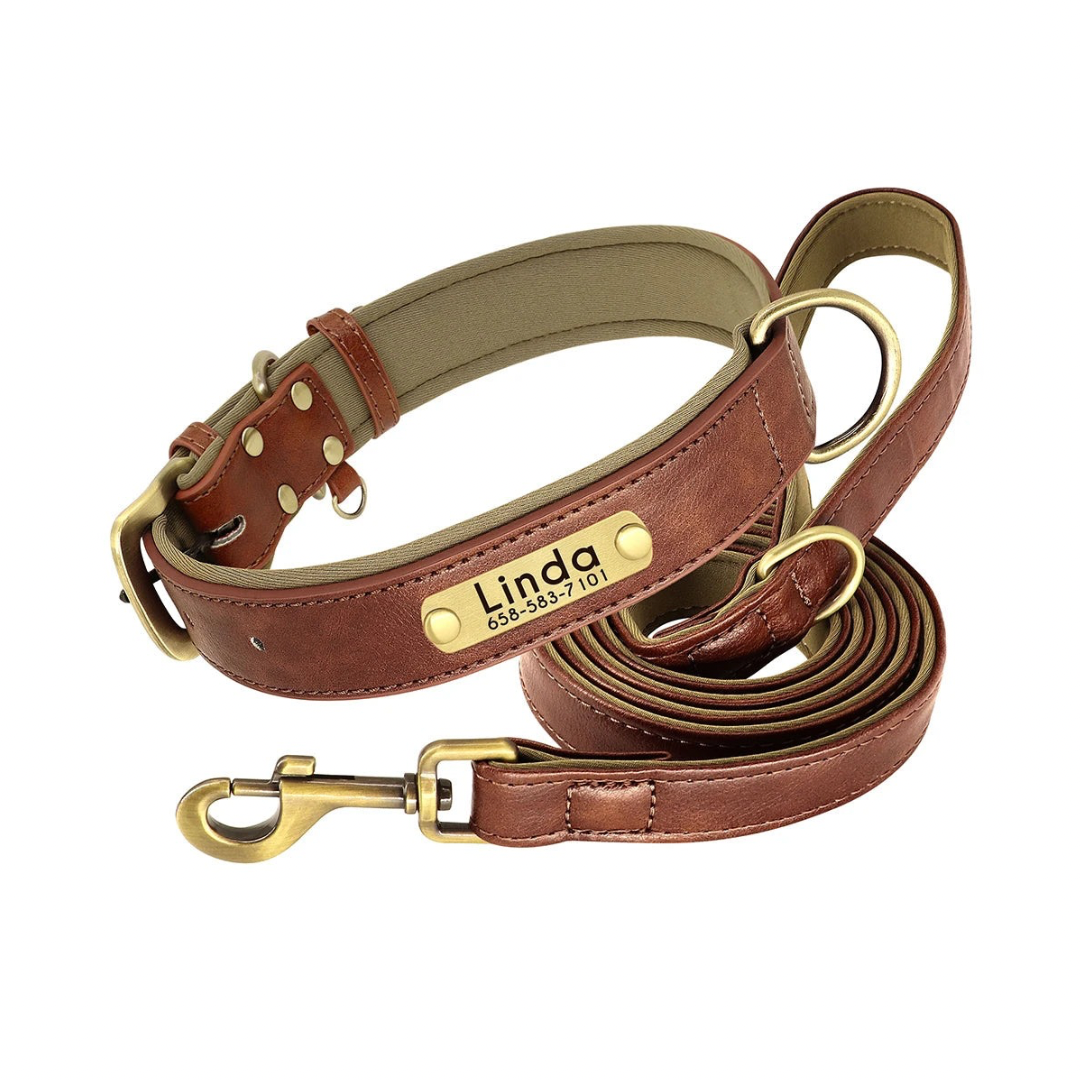 flinzy - Personalisiertes Hundehalsband mit Leine