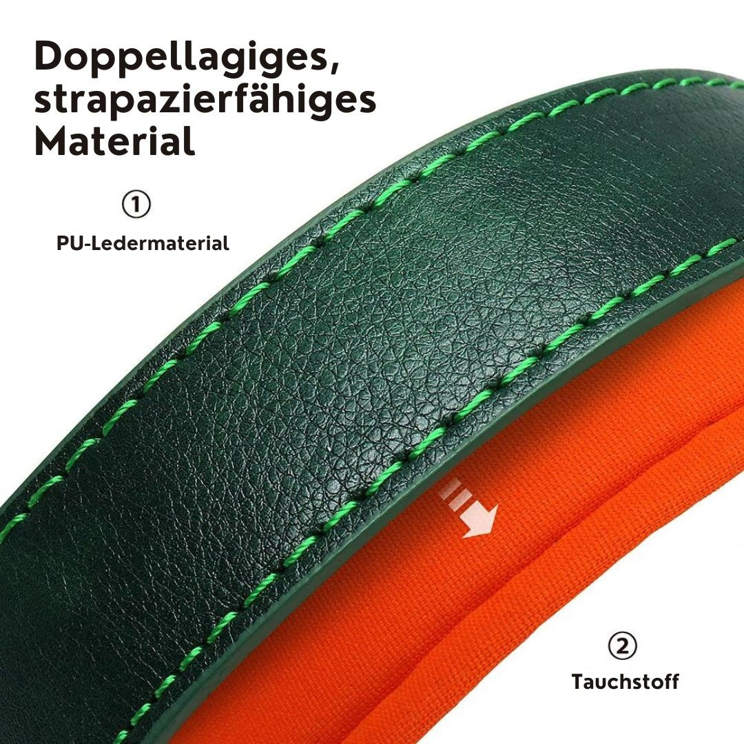 flinzy - Personalisiertes Hundehalsband mit Leine