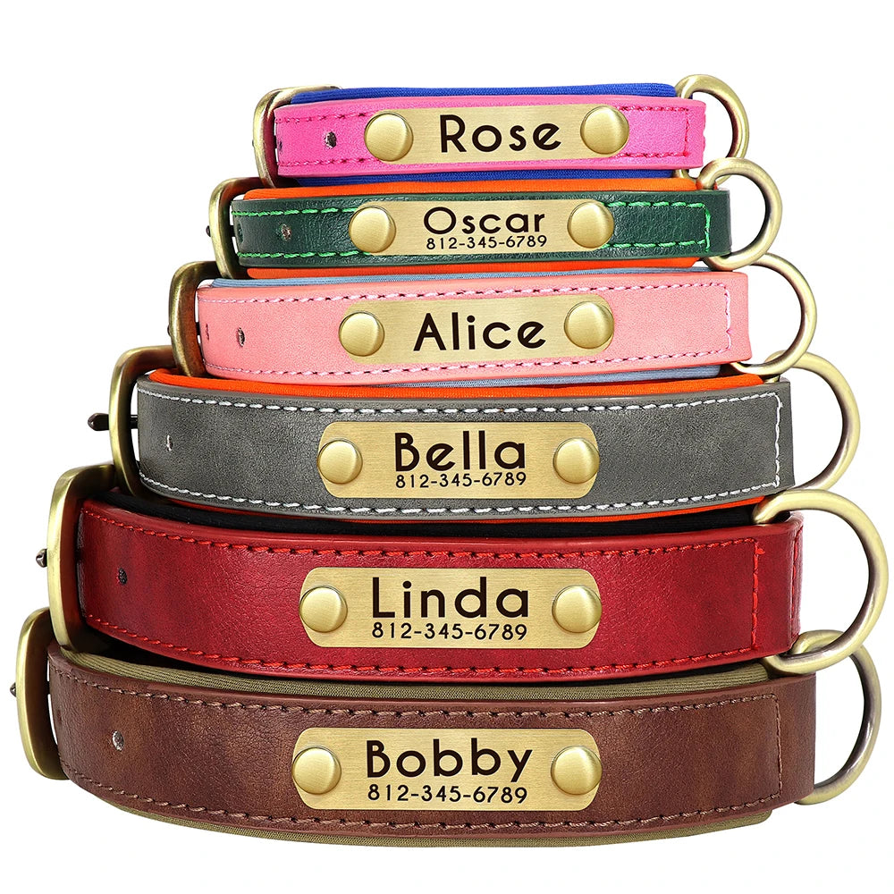 flinzy - Personalisiertes Hundehalsband mit Leine