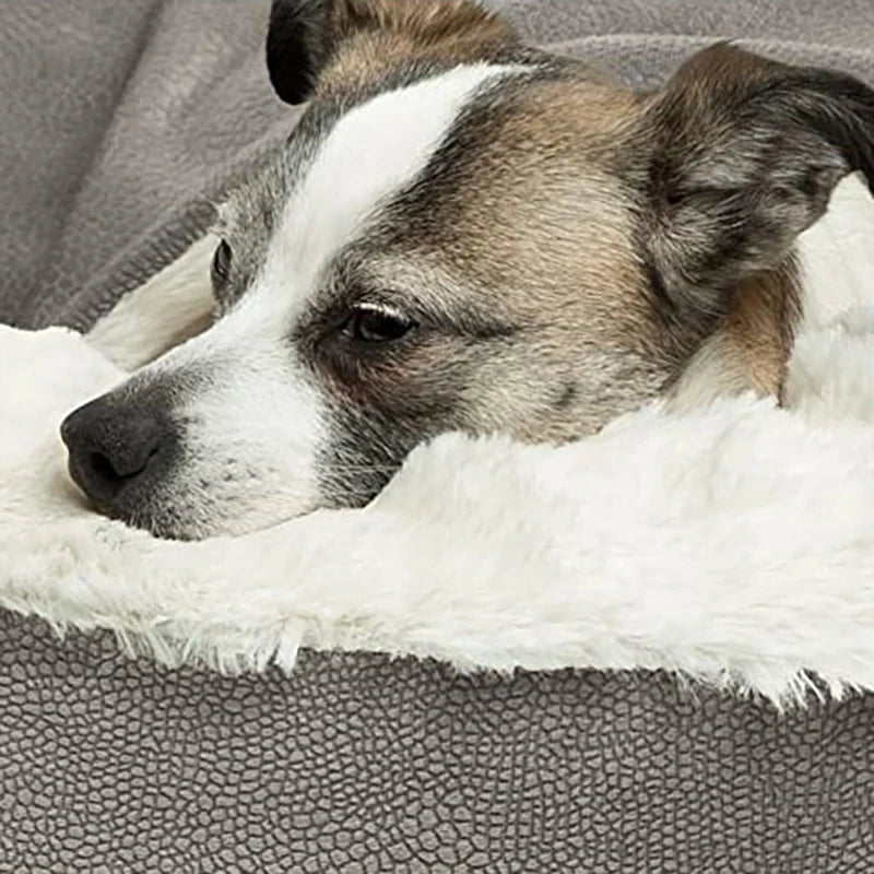 flinzy - indoor dog bed