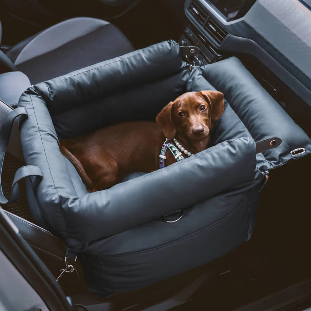 flinzy - Premium Tragbares Hundebett
