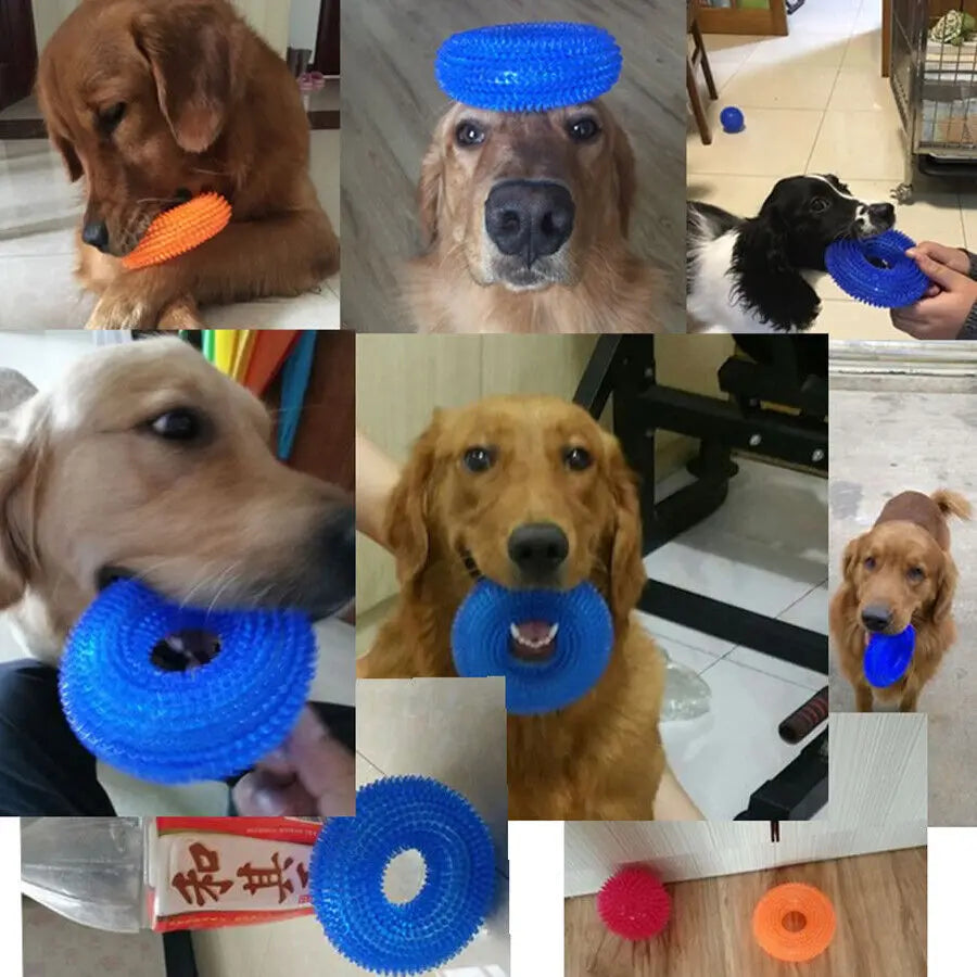 flinzy - tooth cleaner dog toy