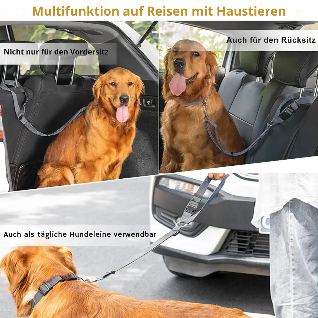 flinzy - Auto-Sicherheitsleine
