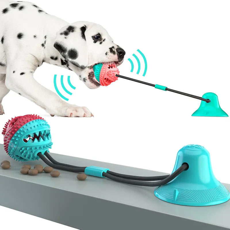 Hunde Spielzeug