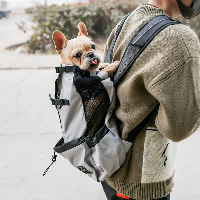 flinzy - Hunde-Rucksack
