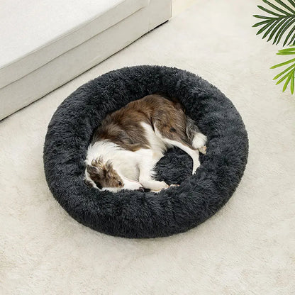 flinzy - Kuschelbett