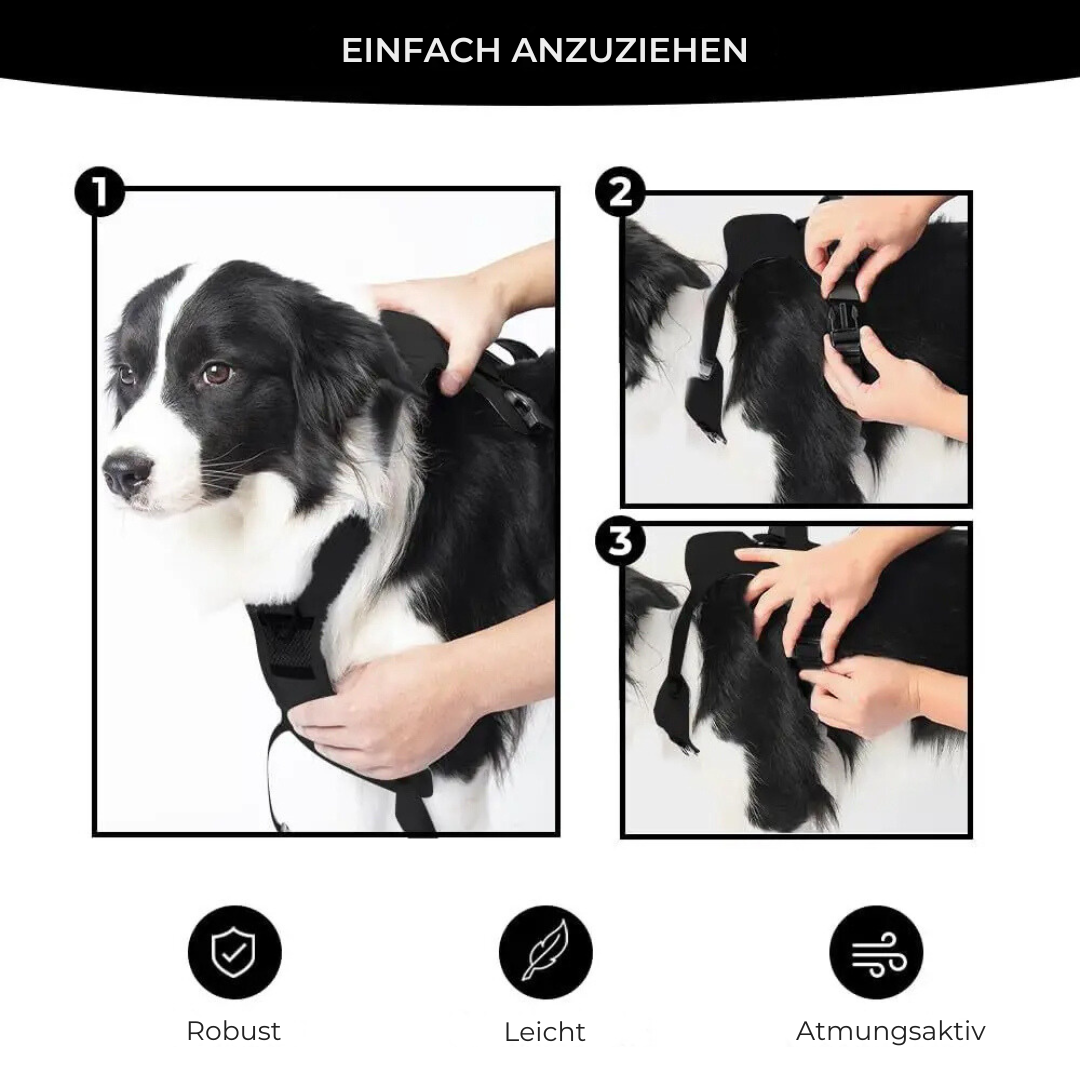 flinzy - Hundegeschirr mit Automatikleine