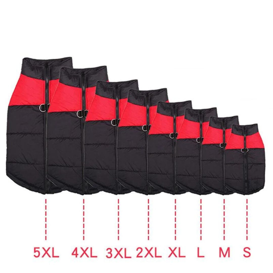 flinzy - Padded winter jacket for dogs