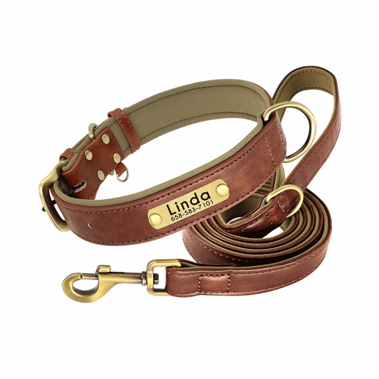 flinzy - Personalisiertes Hundehalsband mit Leine
