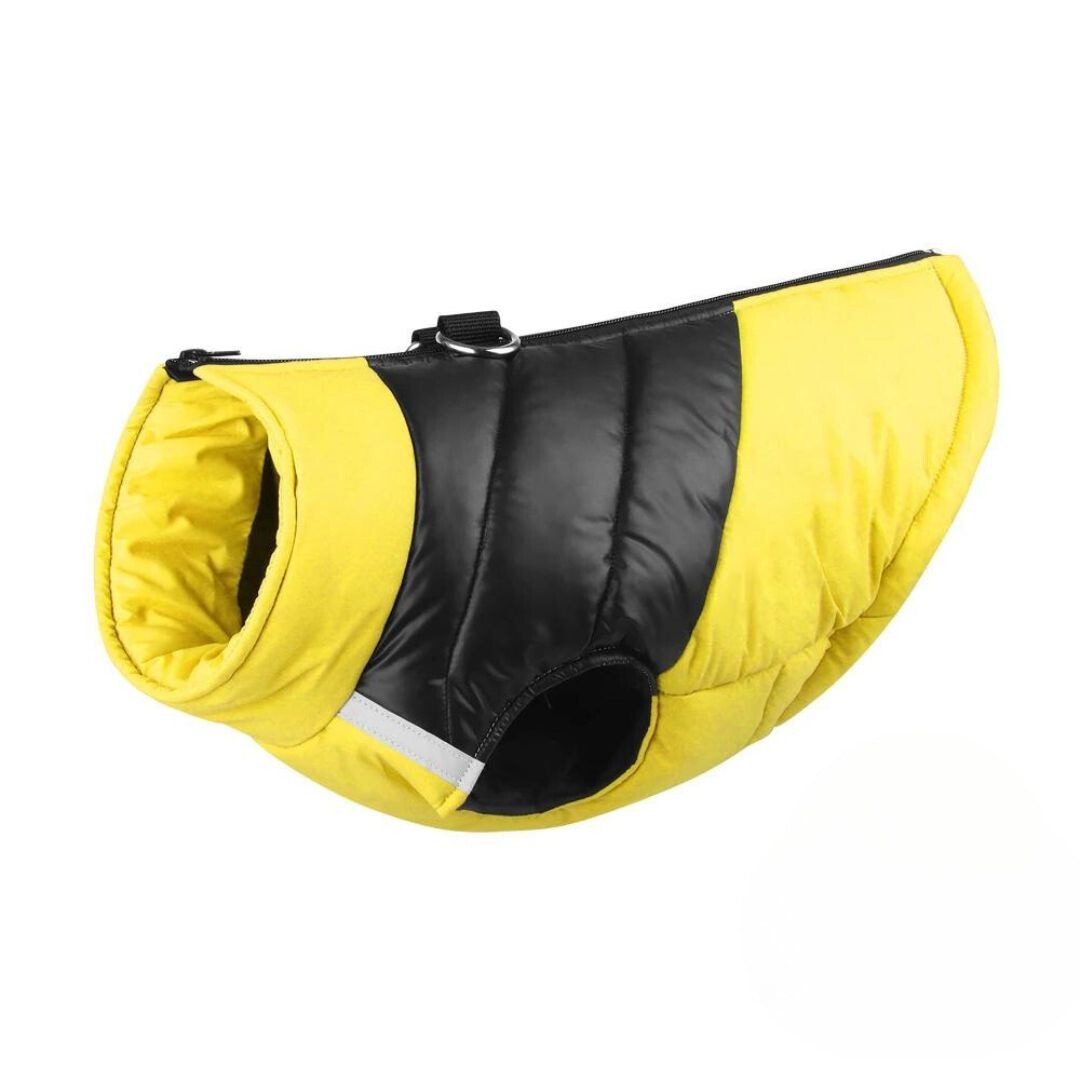 flinzy - Padded winter jacket for dogs