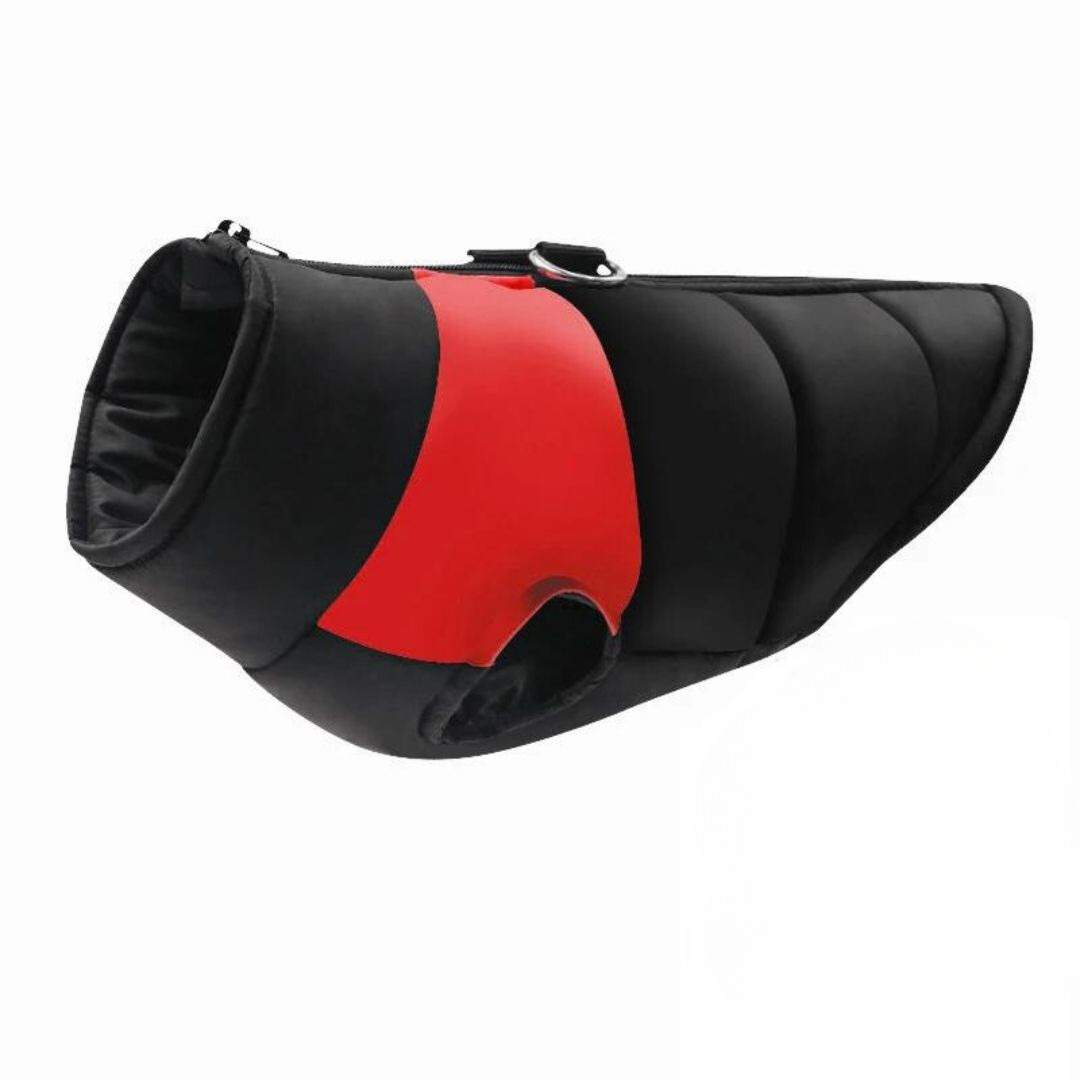 flinzy - Padded winter jacket for dogs
