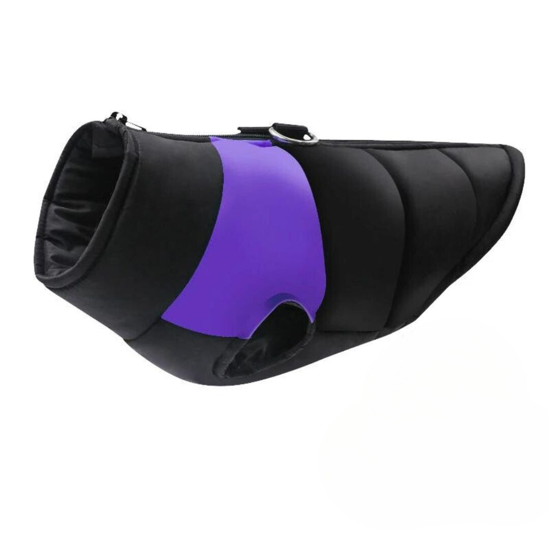 flinzy - Padded winter jacket for dogs
