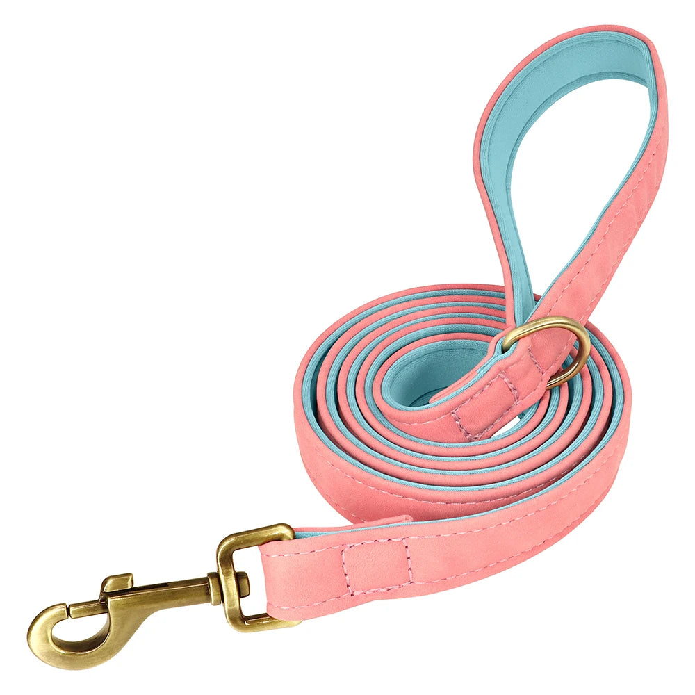 flinzy - Personalisiertes Hundehalsband mit Leine
