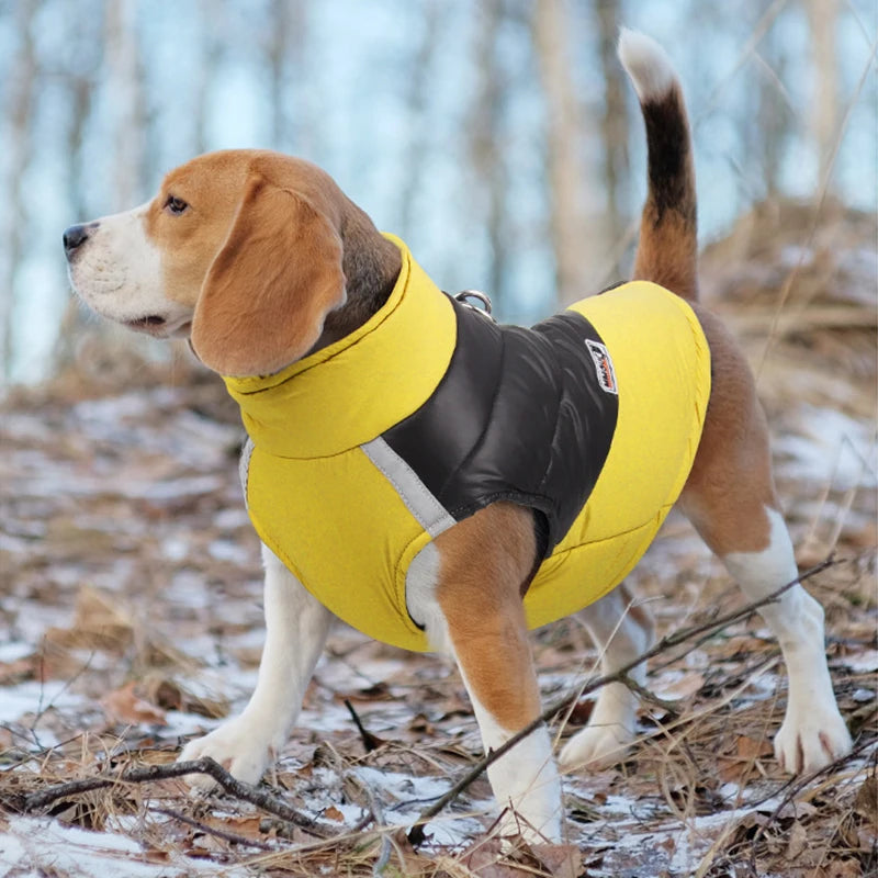 flinzy - Padded winter jacket for dogs