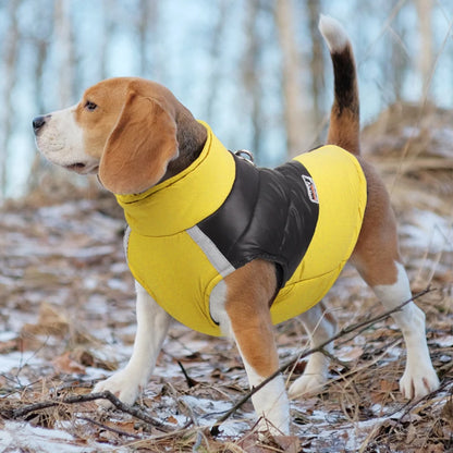 flinzy - Padded winter jacket for dogs