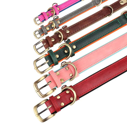 flinzy - Personalisiertes Hundehalsband mit Leine